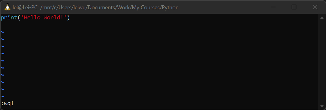 Code Python with Vim from a terminal.